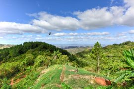 Lais Puzzle - Tropische Landschaft - Cienfuegos, Kuba - 2.000 Teile