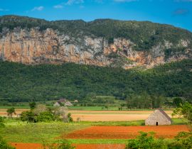 Lais Puzzle - Vinales, Kuba. Tabakanbau - 40, 100, 200, 500, 1.000 & 2.000 Teile