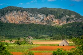 Lais Puzzle - Vinales, Kuba. Tabakanbau - 2.000 Teile