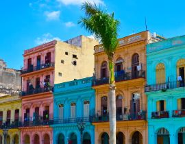 Lais Puzzle - Havanna, Kuba, bunte Kolonialhäuser, blauer Himmel im Hintergrund, Palme im Vordergrund - 40, 100, 200, 500, 1.000 & 2.000 Teile