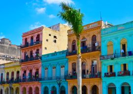 Lais Puzzle - Havanna, Kuba, bunte Kolonialhäuser, blauer Himmel im Hintergrund, Palme im Vordergrund - 1.000 Teile