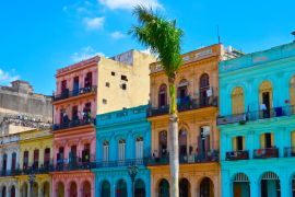 Lais Puzzle - Havanna, Kuba, bunte Kolonialhäuser, blauer Himmel im Hintergrund, Palme im Vordergrund - 2.000 Teile
