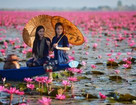 Lais Puzzle - Laos Frau in Blume Lotus See, Frau trägt traditionelle Thai Menschen, Red Lotus See UdonThani Thailand - 40, 100, 200, 500, 1.000 & 2.000 Teile