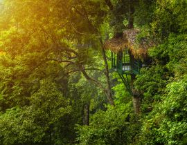 Lais Puzzle - Baumhaus für den Rückzug in die Natur inmitten üppiger Bäume in Laos - 40, 100, 200, 500, 1.000 & 2.000 Teile