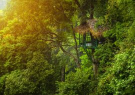 Lais Puzzle - Baumhaus für den Rückzug in die Natur inmitten üppiger Bäume in Laos - 1.000 Teile