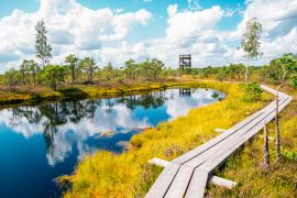 Lais Puzzle - Moorpfad im Kemeri-Nationalpark in Lettland - 2.000 Teile