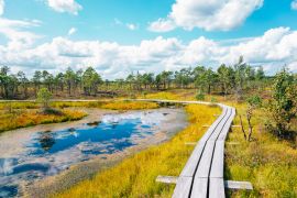 Lais Puzzle - Moorpfad im Kemeri-Nationalpark in Lettland - 2.000 Teile