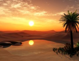 Lais Puzzle - Oase Wüstenlandschaft mit Teich, Palmen und Steinen Libyen - 40, 100, 200, 500, 1.000 & 2.000 Teile