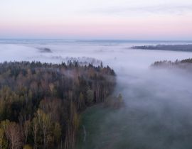 Lais Puzzle - Schöner nebliger Morgen in einer litauischen Landschaft - 40, 100, 200, 500, 1.000 & 2.000 Teile