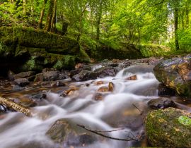 Lais Puzzle - Kleine Stromschnellen im romantischen Tal der Schwarzen Ernz in Müllerthal / Luxemburg - 40, 100, 200, 500, 1.000 & 2.000 Teile