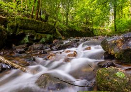 Lais Puzzle - Kleine Stromschnellen im romantischen Tal der Schwarzen Ernz in Müllerthal / Luxemburg - 1.000 Teile