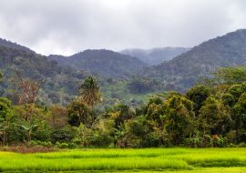 Lais Puzzle - Schöne Landschaft des Masoala-Nationalparks, Primärwald, in Madagaskar - 1.000 Teile