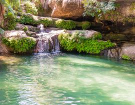 Lais Puzzle - Atemberaubende Oase namens "la piscine naturelle", ein palmengesäumtes Becken, das ständig von einem kristallklaren Wasserfall gespeist wird, Isalo-Nationalpark, Madagaskar - 40, 100, 200, 500, 1.000 & 2.000 Teile
