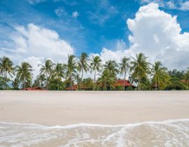 Lais Puzzle - Schöner weißer Sandstrand mit Resort und Kokospalme, Langkawi, Malaysia - 40, 100, 200, 500, 1.000 & 2.000 Teile