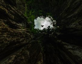 Lais Puzzle - Sehr schnell fliegende Tauben in der Butu-Höhle, einem der spirituellen Orte der indischen Gemeinschaft in Malaysia - 40, 100, 200, 500, 1.000 & 2.000 Teile