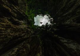 Lais Puzzle - Sehr schnell fliegende Tauben in der Butu-Höhle, einem der spirituellen Orte der indischen Gemeinschaft in Malaysia - 1.000 Teile