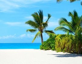 Lais Puzzle - Panoramablick auf einen schönen sonnigen Tag am Sandstrand auf den Malediven - 40, 100, 200, 500, 1.000 & 2.000 Teile