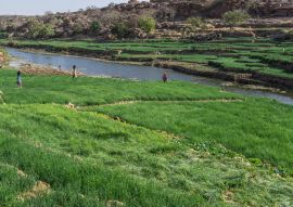 Lais Puzzle - Dogon-Landwirtschaft, Pays Dogon, Mali - 100, 200, 500, 1.000 & 2.000 Teile