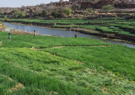 Lais Puzzle - Dogon-Landwirtschaft, Pays Dogon, Mali - 1.000 Teile