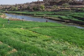 Lais Puzzle - Dogon-Landwirtschaft, Pays Dogon, Mali - 2.000 Teile