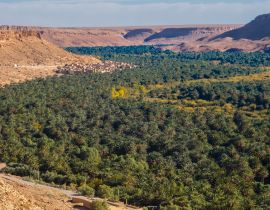 Lais Puzzle - Marokko Erfoud Tafilalet Oase - 40, 100, 200, 500, 1.000 & 2.000 Teile