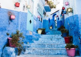 Lais Puzzle - Blaue Allee mit Blumentöpfen in der Medina, Chefchaouen, Marokko - 500, 1.000 & 2.000 Teile