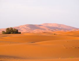Lais Puzzle - Frühes Morgenlicht an den Wüstendünen Erg Chebbi im Süden Marokkos, in der Nähe von Merzouga - 40, 100, 200, 500, 1.000 & 2.000 Teile