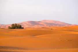 Lais Puzzle - Frühes Morgenlicht an den Wüstendünen Erg Chebbi im Süden Marokkos, in der Nähe von Merzouga - 2.000 Teile