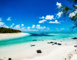Lais Puzzle - Schönes Panorama einer tropischen Insel. Paradiesischer Strand auf Mauritius - 40, 100, 200, 500, 1.000 & 2.000 Teile