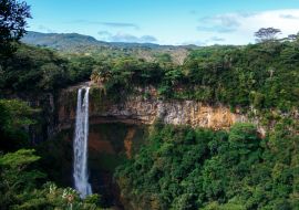 Lais Puzzle - Landschaft mit einem Wasserfall auf Mauritius - 1.000 Teile