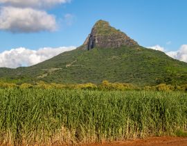 Lais Puzzle - Zuckerrohrfelder und Berge auf der Insel Mauritius, Afrika - 40, 100, 200, 500, 1.000 & 2.000 Teile