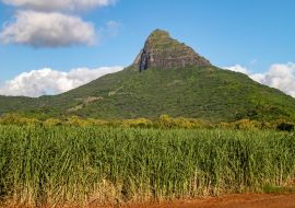 Lais Puzzle - Zuckerrohrfelder und Berge auf der Insel Mauritius, Afrika - 1.000 Teile