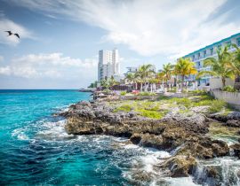 Lais Puzzle - Küste der Insel Cozumel, Mexiko - 40, 100, 200, 500, 1.000 & 2.000 Teile