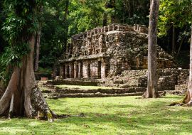 Lais Puzzle - Yaxchilan Maya-Ruinen in Mexiko - 1.000 Teile