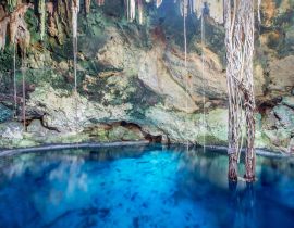 Lais Puzzle - Cenoten in Cuzama, Mexiko - 40, 100, 200, 500, 1.000 & 2.000 Teile