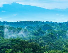 Lais Puzzle - Dschungel-Landschaft in Mexiko - 40, 100, 200, 500, 1.000 & 2.000 Teile