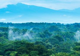 Lais Puzzle - Dschungel-Landschaft in Mexiko - 1.000 Teile