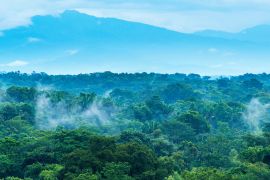 Lais Puzzle - Dschungel-Landschaft in Mexiko - 2.000 Teile