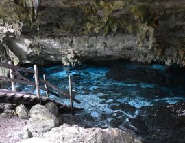 Lais Puzzle - Cenote Dos Ojos Mexique - Dos Ojos Cenote Mexiko - 40, 100, 200, 500, 1.000 & 2.000 Teile