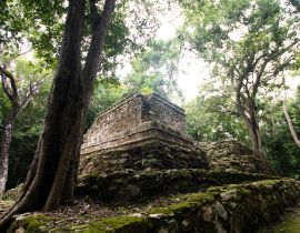 Lais Puzzle - Maya-Ruinen inmitten des mexikanischen Dschungels, alte Steinbauten, die von Pflanzen und Bäumen überwuchert sind - 40, 100, 200, 500, 1.000 & 2.000 Teile