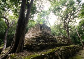 Lais Puzzle - Maya-Ruinen inmitten des mexikanischen Dschungels, alte Steinbauten, die von Pflanzen und Bäumen überwuchert sind - 1.000 Teile