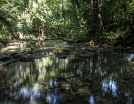 Lais Puzzle - Dschungel und Wasser rund um die Tempel von Palenque. Yucatan, Mexiko - 40, 100, 200, 500, 1.000 & 2.000 Teile