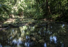 Lais Puzzle - Dschungel und Wasser rund um die Tempel von Palenque. Yucatan, Mexiko - 1.000 Teile