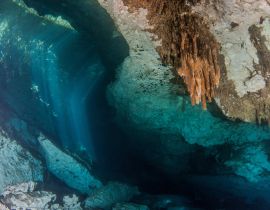 Lais Puzzle - Tauchen in der Cenote Jardin del Eden in Mexiko - 40, 100, 200, 500, 1.000 & 2.000 Teile