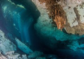 Lais Puzzle - Tauchen in der Cenote Jardin del Eden in Mexiko - 1.000 Teile