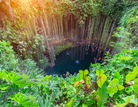 Lais Puzzle - Ik Kil Cenote im nördlichen Zentrum der Halbinsel Yucatán, Teil des archäologischen Parks Ik Kil in der Nähe von Chichen Itza - 40, 100, 200, 500, 1.000 & 2.000 Teile