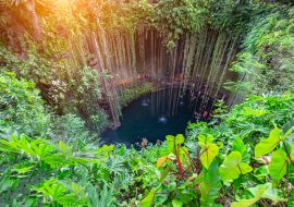 Lais Puzzle - Ik Kil Cenote im nördlichen Zentrum der Halbinsel Yucatán, Teil des archäologischen Parks Ik Kil in der Nähe von Chichen Itza - 1.000 Teile