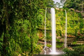 Lais Puzzle - Warmes Sonnenlicht auf dem wunderschönen Misol-Há-Wasserfall im üppig grünen Dschungel in der Nähe des Salto del Agua, Palenque, Chiapas, Mexiko - 2.000 Teile