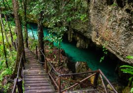 Lais Puzzle - Holzpfad in einer Cenote mit kristallklarem Süßwasser bei Tulum - Riviera Maya, Tulum, Yucatan, Mexiko - 1.000 Teile