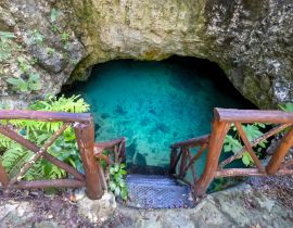 Lais Puzzle - Die malerische Cenote Casa Tortuga in der Nähe von Tulum und Playa Del Carmen, eine beliebte Touristenattraktion für den lokalen und internationalen Tourismus - 40, 100, 200, 500, 1.000 & 2.000 Teile